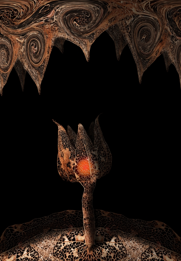 Creation of Withered capsule chamber: Step 7